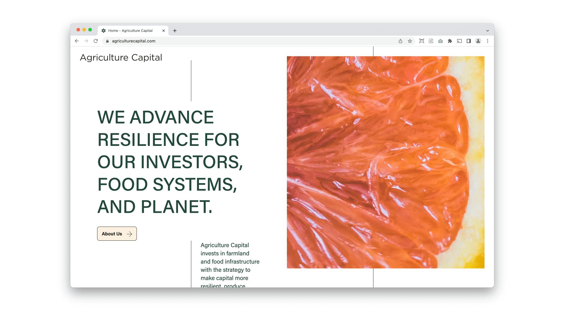 both-and_AgricultureCapital_02