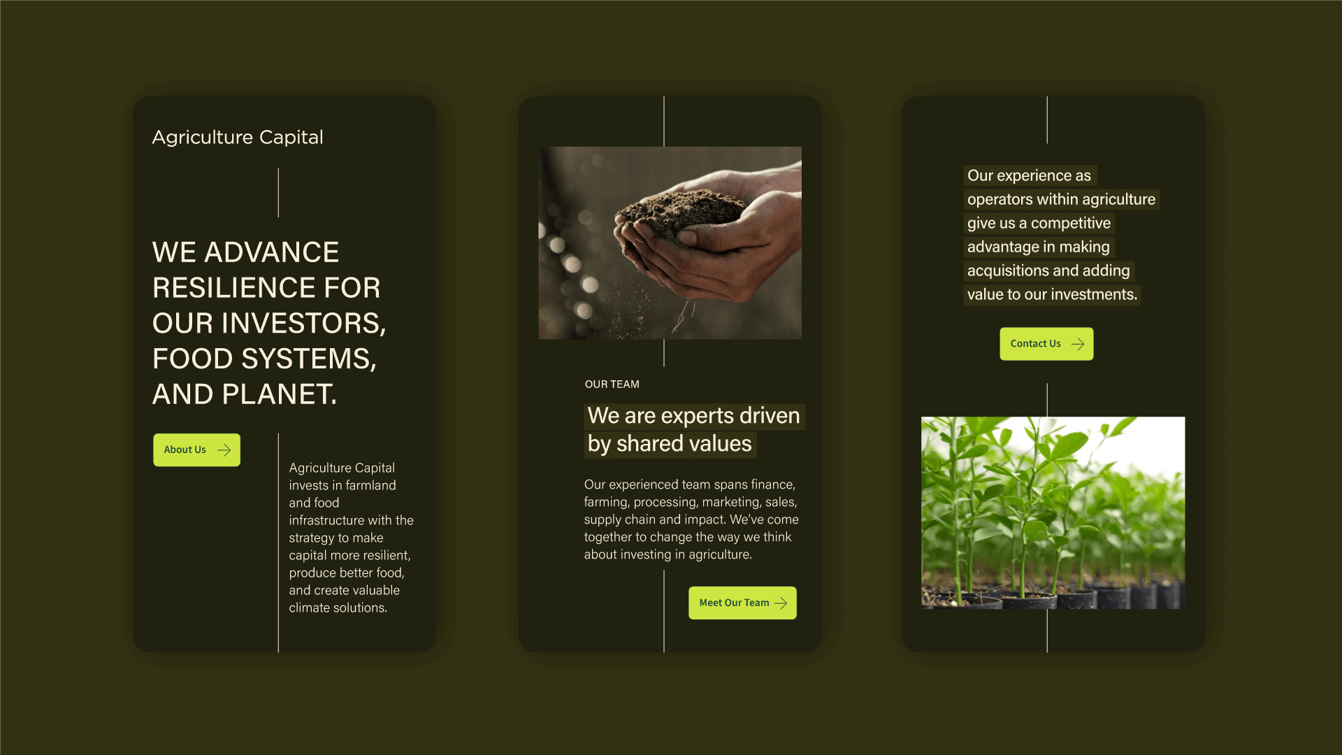 both-and_AgricultureCapital_05-2