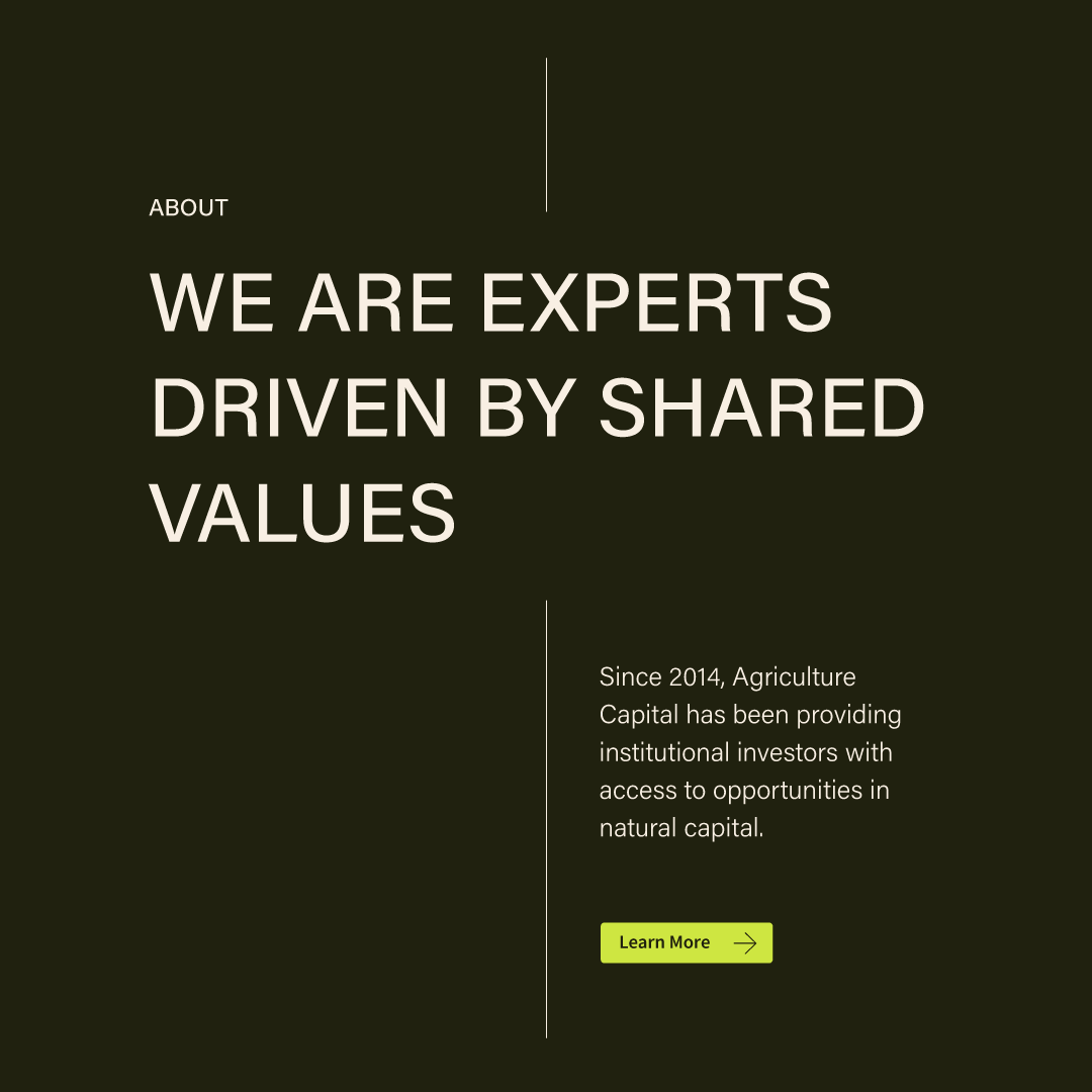 both-and_AgricultureCapital_07