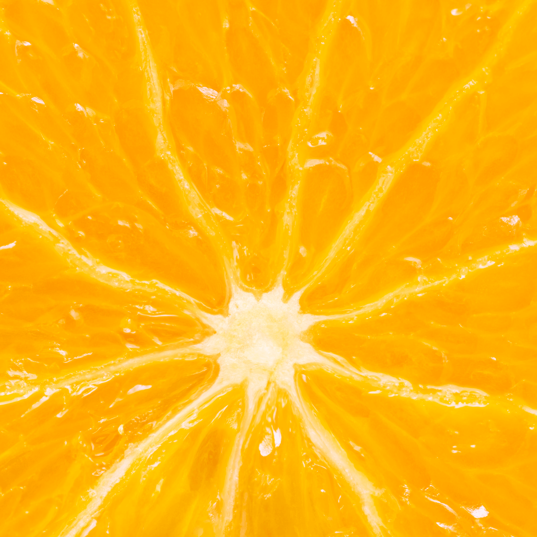 both-and_AgricultureCapital_09