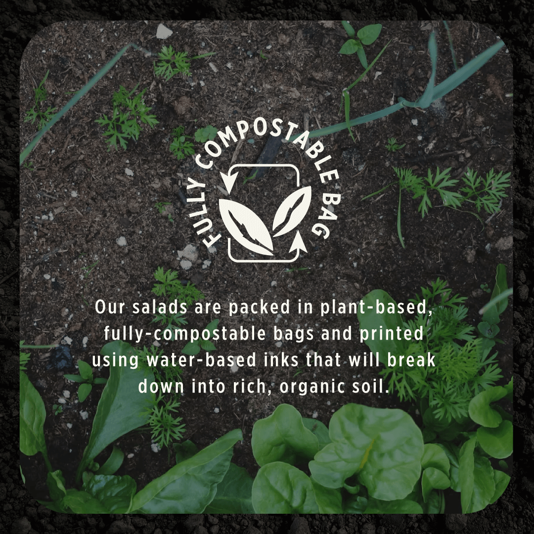 both-and_FairEarthFarms_Social-2