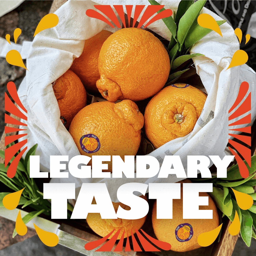 both-and_SumoCitrus-Campaign_06_LegendaryTaste