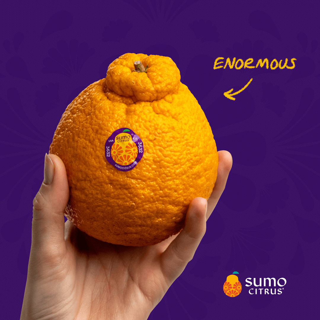 both-and_SumoCitrus-Campaign_11-1_Carousel