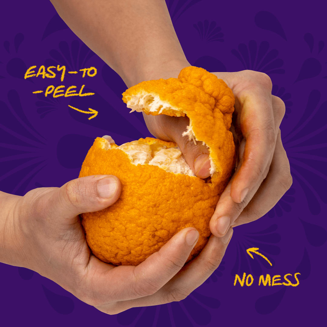 both-and_SumoCitrus-Campaign_11-2_Carousel