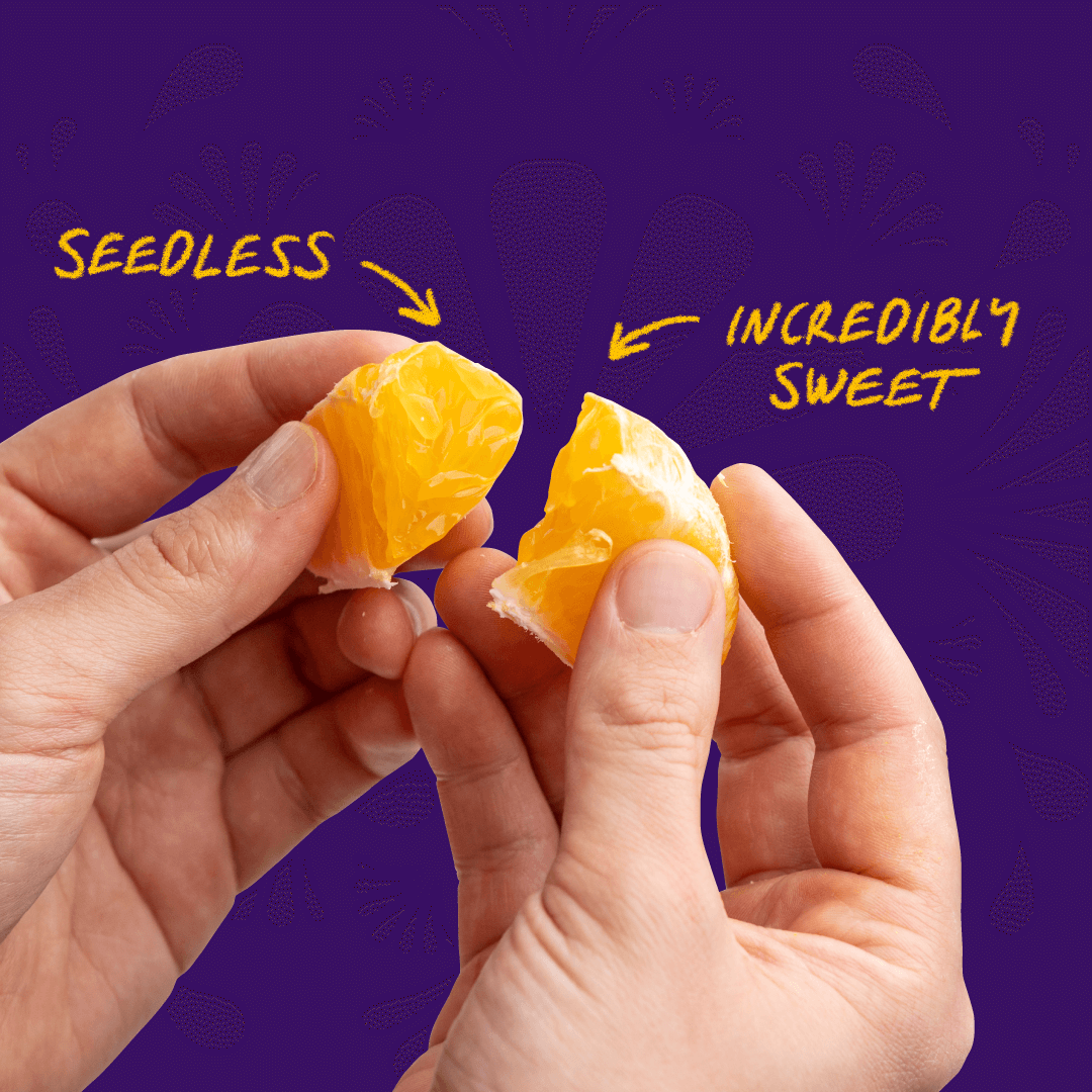 both-and_SumoCitrus-Campaign_11-3_Carousel