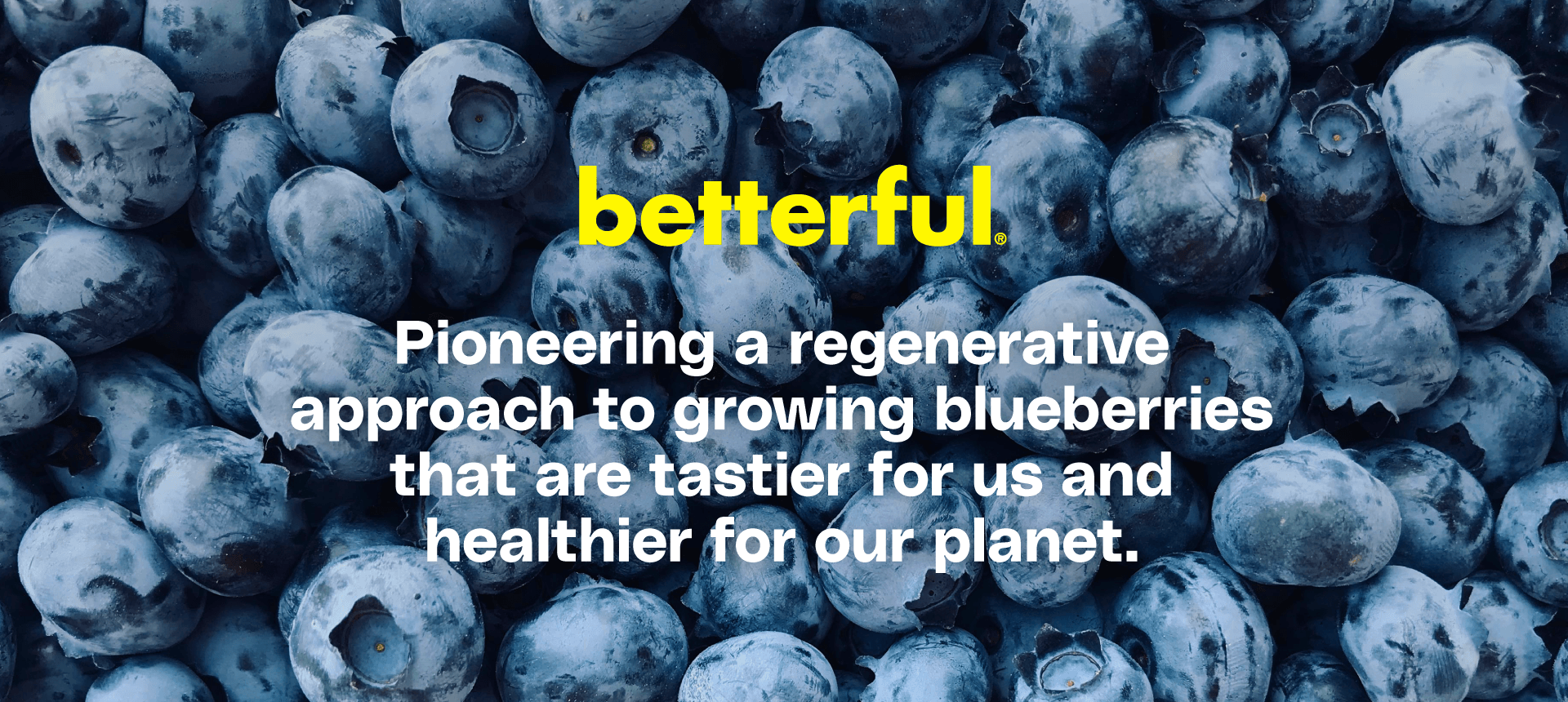 24betterful_CaseStudy_04_RegenIntro-2