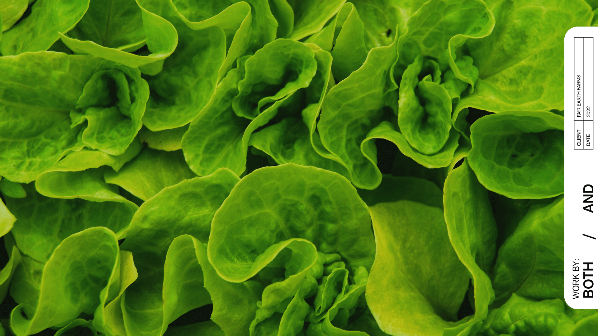 both-and_FairEarthFarms_Cover